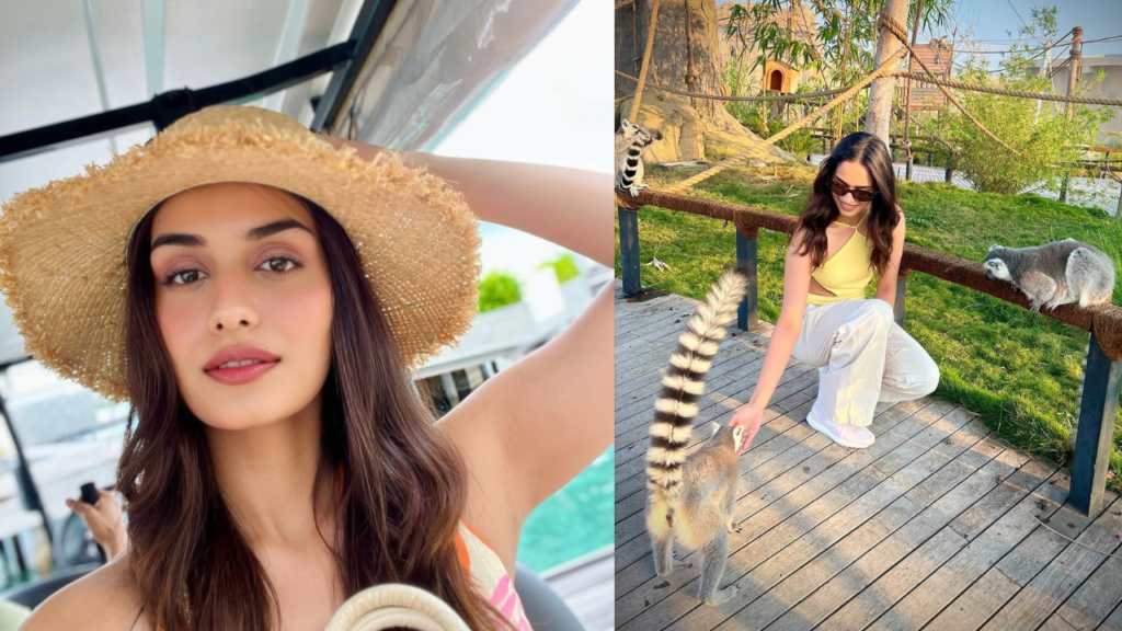 Manushi Chhillar