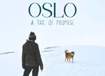 ‘Oslo: A Tail Of Promise’ Teaser Out: John Abraham’s Heartfelt Animal Documentary Moves Viewers