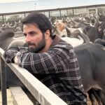 Sonu Sood Supports Animal Welfare With Rs 22 Lakh Donation to Cow Shelter