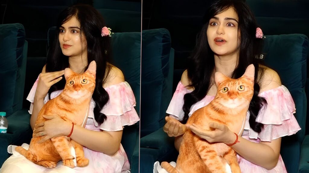 After 1920, Adah Sharma Returns to Horror as India's Face for Evil Dead Burn
