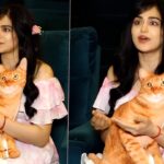 After 1920, Adah Sharma Returns to Horror as India's Face for Evil Dead Burn