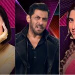 Bigg Boss 20: Rhiya Ahir vs Love Gill for Entry; Viral Protest Face Now in Race to Enter Salman Khan’s Show