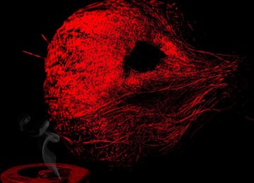 TVF Announces Its First Marathi Film Bayangi: Palaychi Nahi, Talaychi; Amey Wagh Leads Supernatural Comedy Thriller