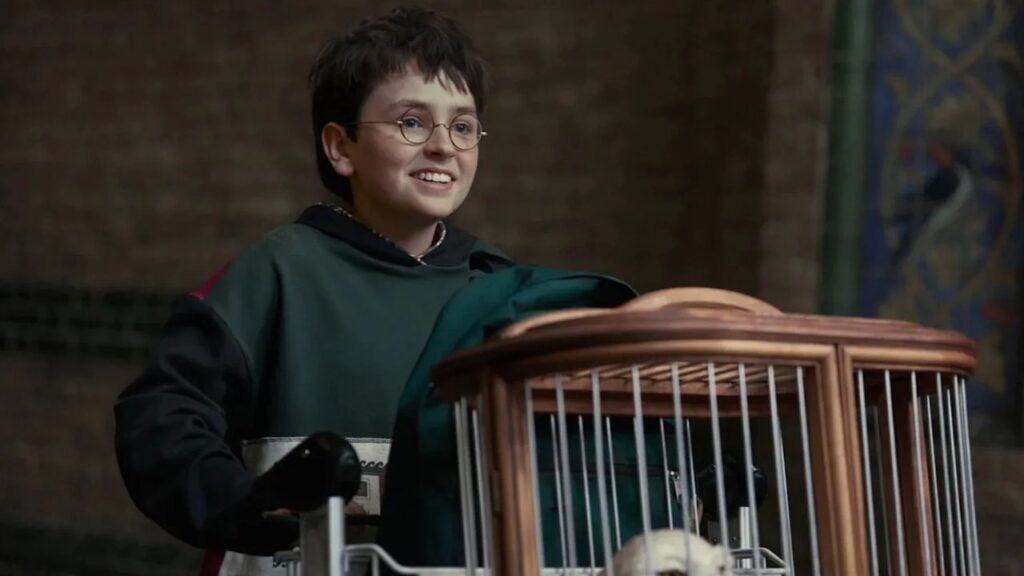 Harry Potter Series Trailer: How Dominic McLaughlin’s New Adaptation Differs From the 2001 Film