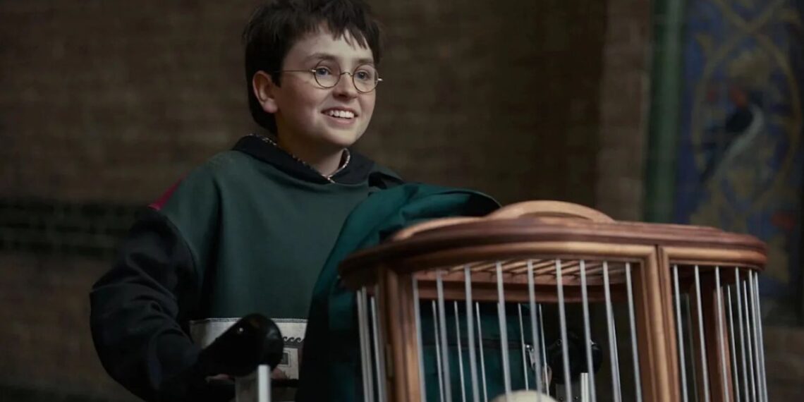 Harry Potter Series Trailer: How Dominic McLaughlin’s New Adaptation Differs From the 2001 Film