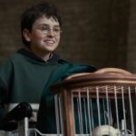 Harry Potter Series Trailer: How Dominic McLaughlin’s New Adaptation Differs From the 2001 Film