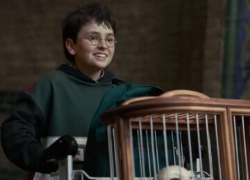 Harry Potter Series Trailer: How Dominic McLaughlin’s New Adaptation Differs From the 2001 Film